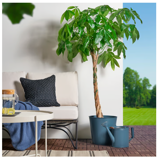 ÅKERBÄR Watering can, in/outdoor dark blue, 5 l
