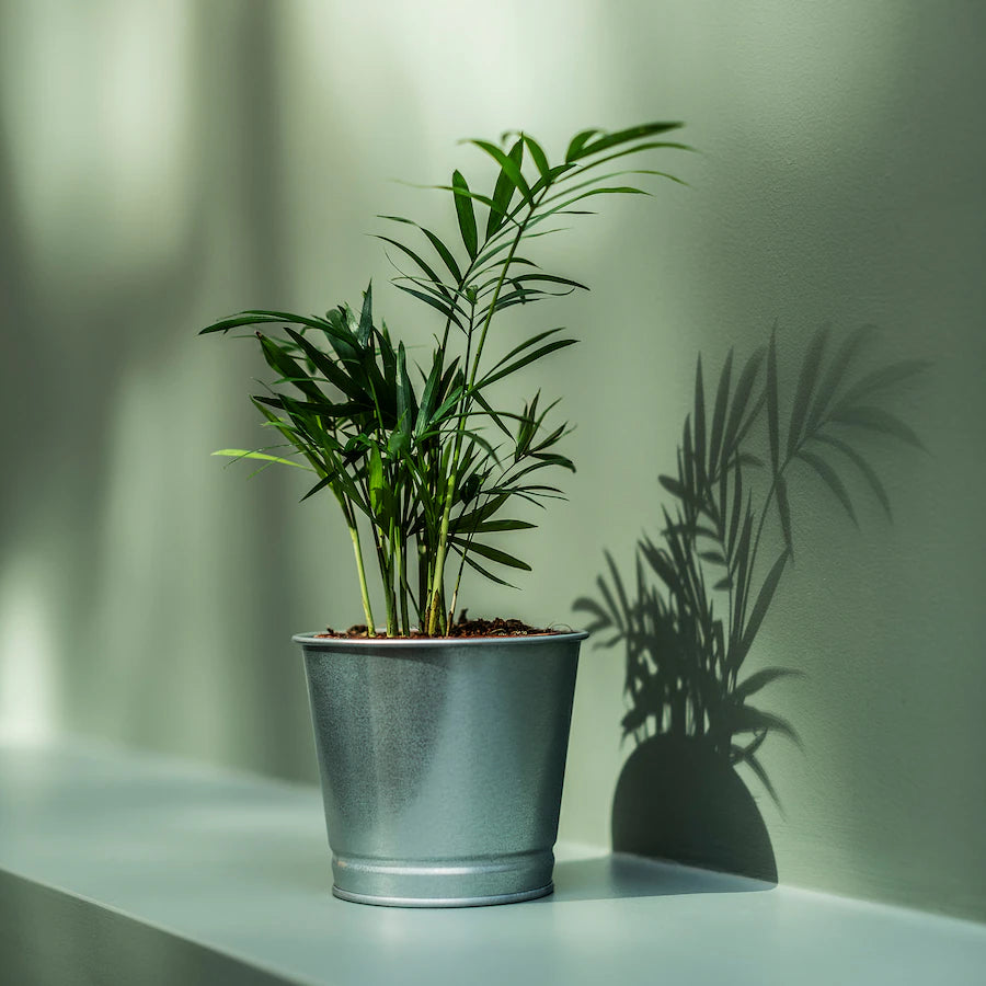IKEA BINTJE Plant pot, galvanised, 9 cm